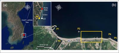 Numerical Simulation of the Locality of Erosional Damages by Storm Waves in Searching for Measures to Conserve Bonggil Beach, Korea